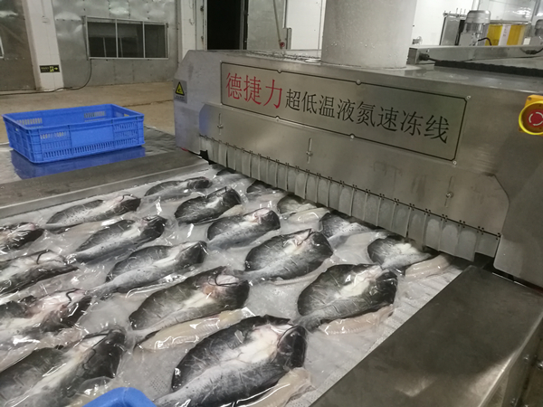 速度鮰鱼_副本.jpg