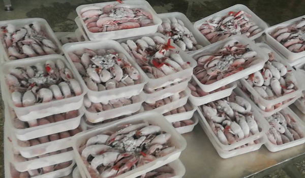 素給我26.jpg
