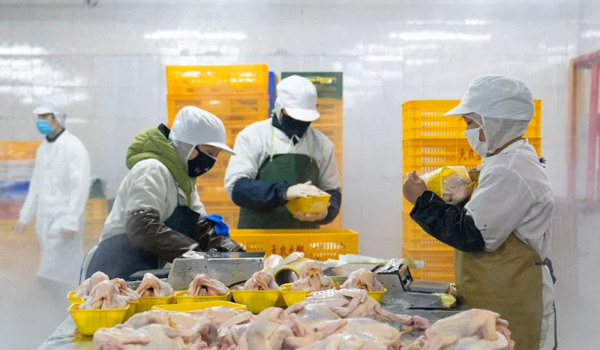 素給我50.jpg