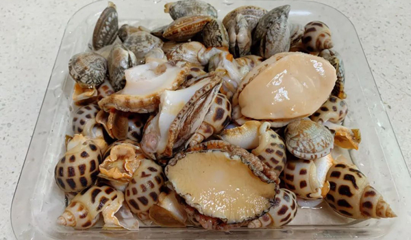 素給我124.jpg