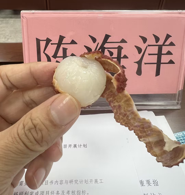 素给我566.jpg
