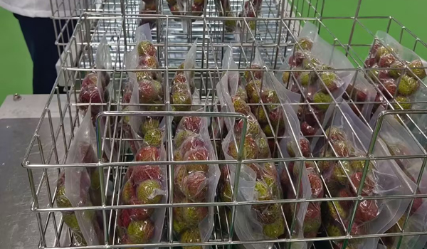 素给我730.jpg