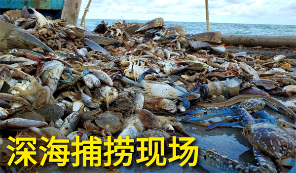 素給我830.jpg