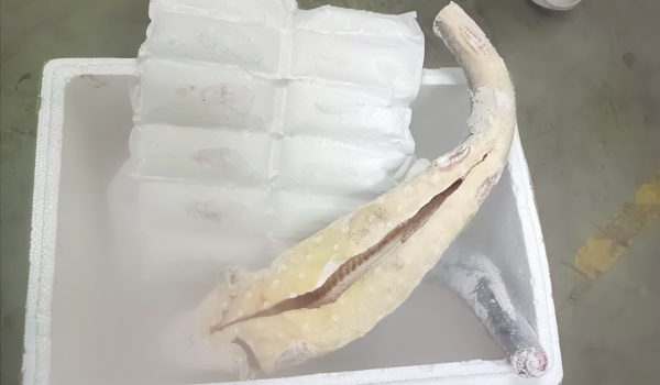 素给我877.jpg