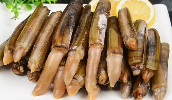 1761638791861789.jpg 新前台638.jpg