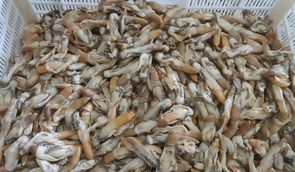 1761638801917500.jpg 新前台639.jpg