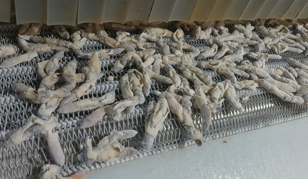 1761638811373904.jpg 新前台640.jpg