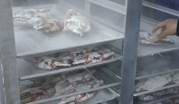 1761808837205253.jpg 新前台644.jpg