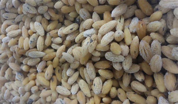 1765442913499639.jpg 新前台689.jpg