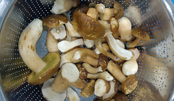 1767862691147284.jpg 新前台713.jpg