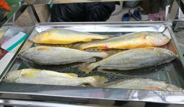 1769677775817526.jpg 新前台730.jpg