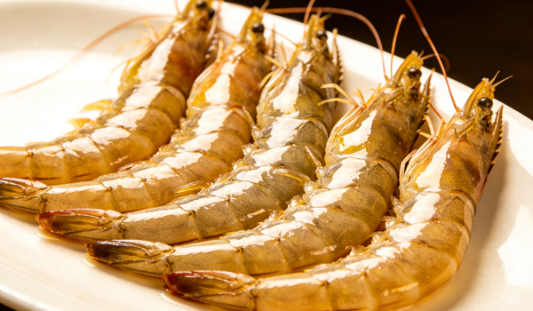 1772616588320444.jpg 新前台742.jpg