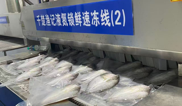 1781601195522693.jpg 新前台819.jpg